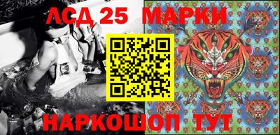 гидропоника Жуковский
