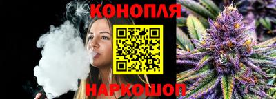 гашик Заводоуковск