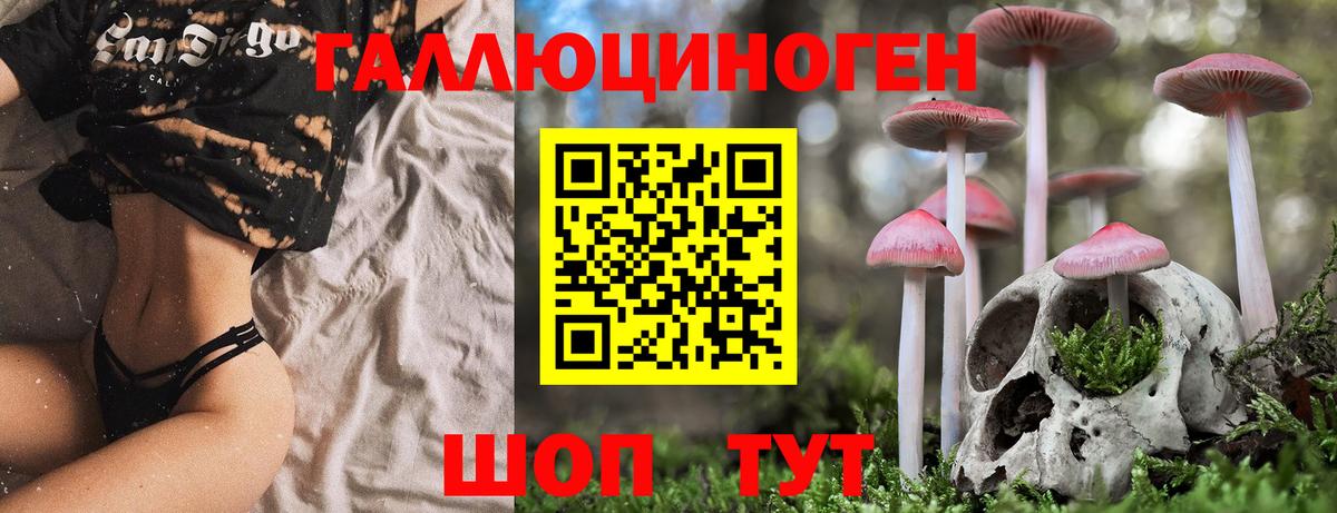 Лыткарино  Галлюциногенные грибы MAGIC MUSHROOMS  закладки  Вход с VPN  Псилоцибиновые грибы прущие грибы 