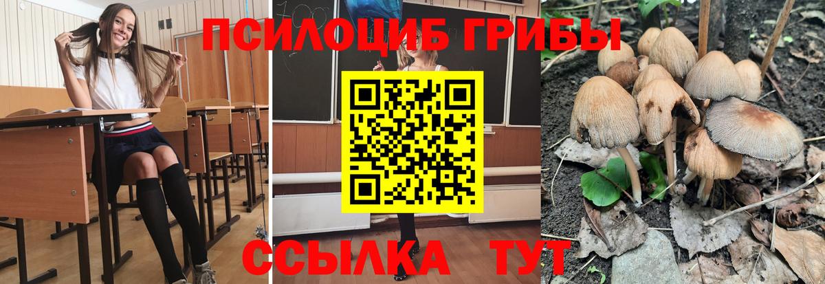 Галлюциногенные грибы прущие грибы Лыткарино